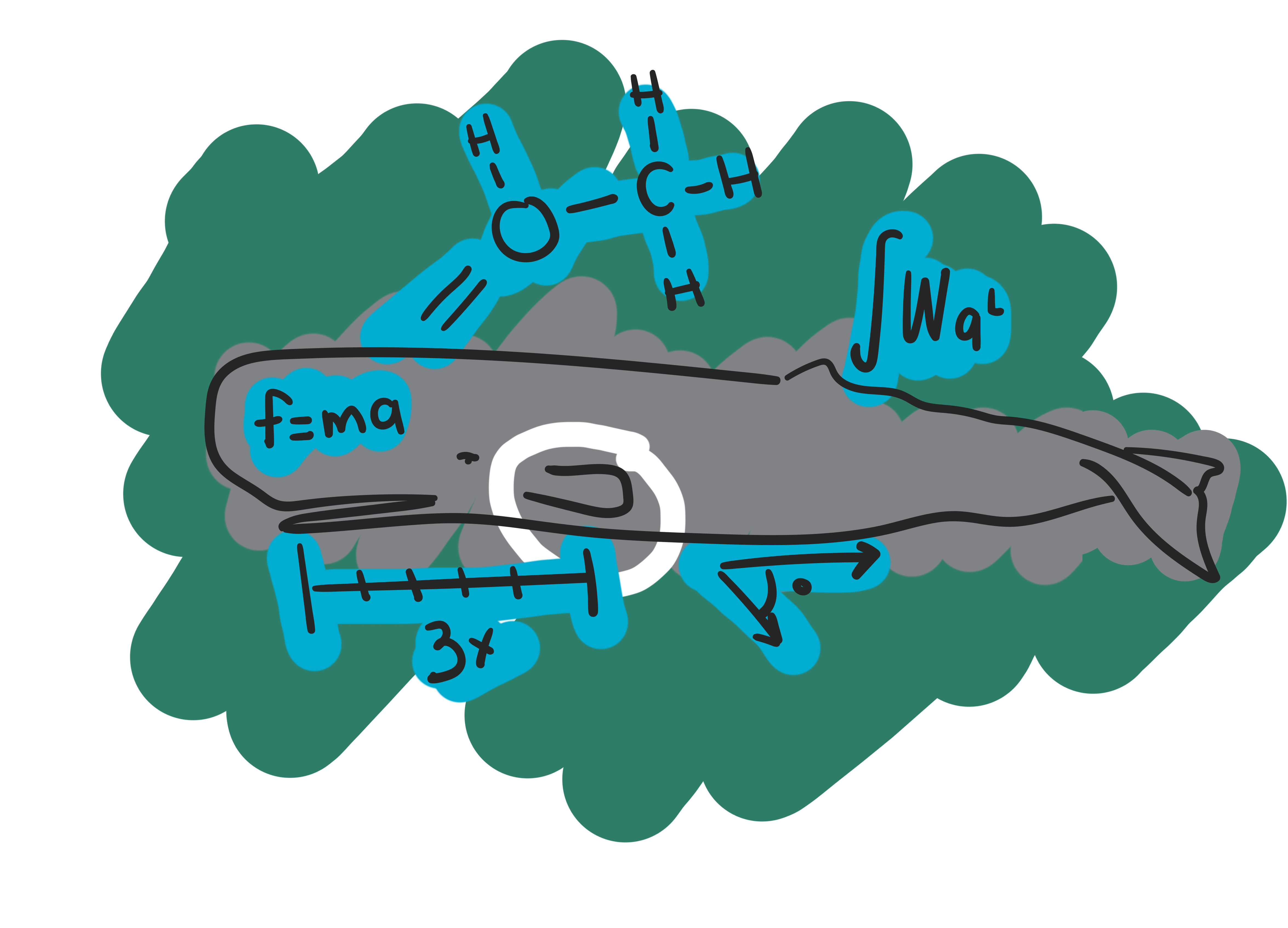Les sciences des baleines