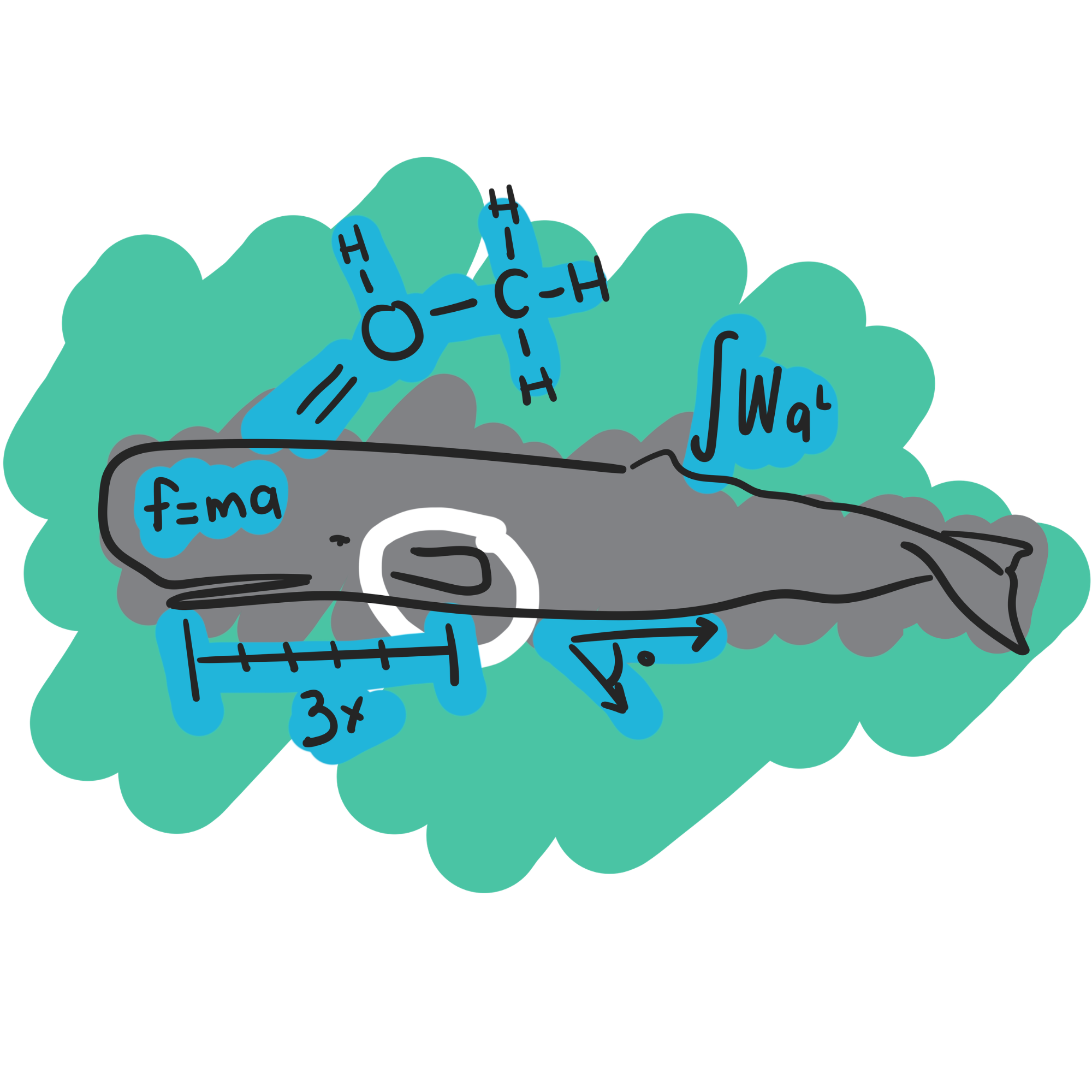 Les sciences des baleines