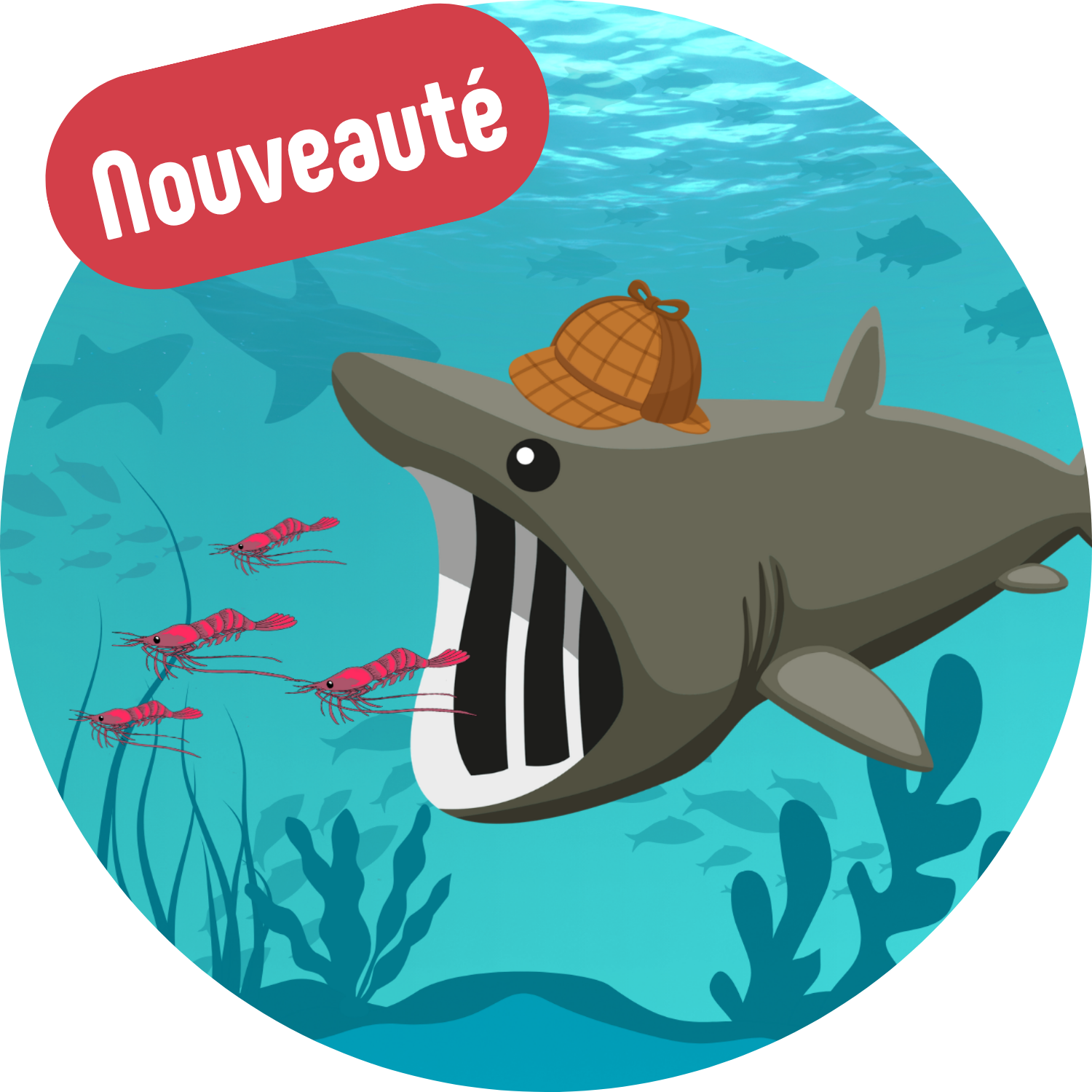 Sur la piste des Requins du Saint-Laurent